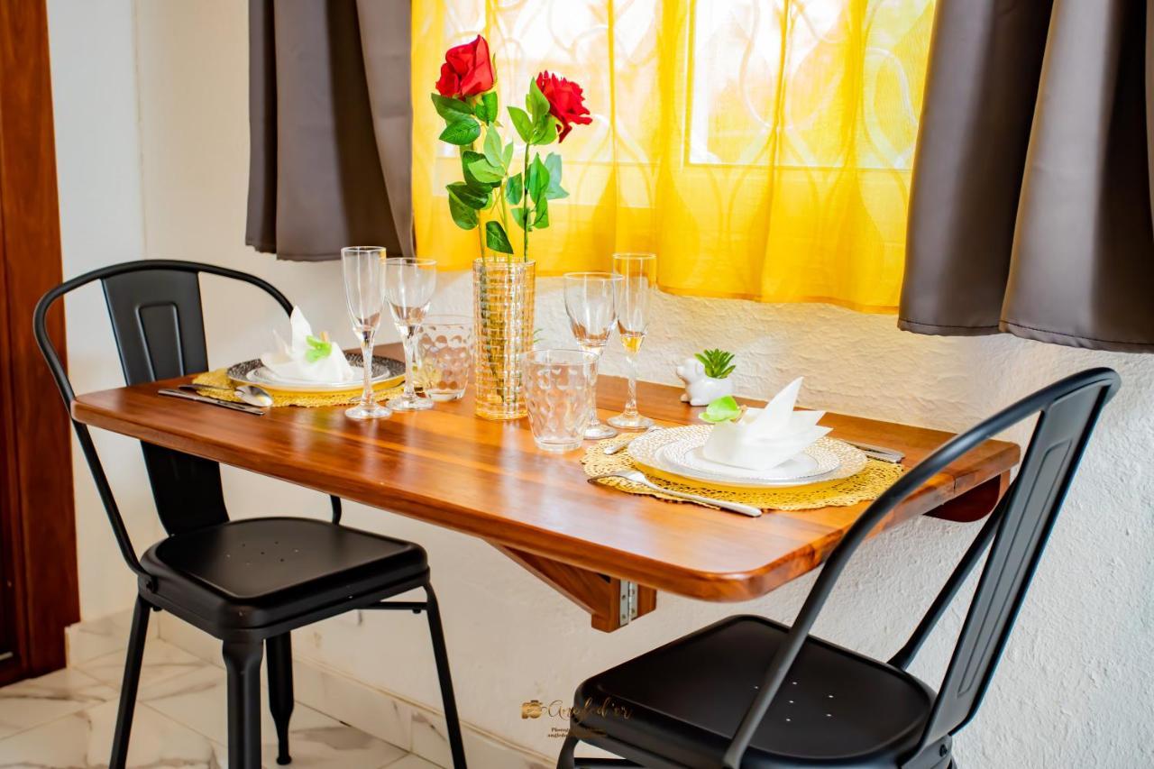Le Jardin Secret Guyanais Avec Piscine Et Jardin De 70 M2 Apartment Кайен Екстериор снимка